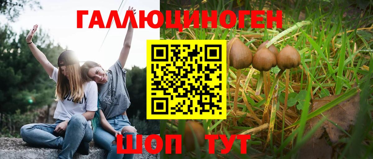 Галлюциногенные грибы мицелий Заводоуковск