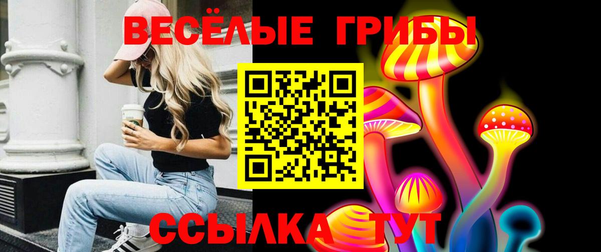 Заводоуковск  Галлюциногенные грибы MAGIC MUSHROOMS  Галлюциногенные грибы Magic Shrooms  Вход с VPN 